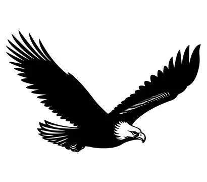 The silhouette of wild eagle vector art Stock Illustration