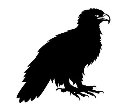 The silhouette of wild eagle vector art Stock Illustration