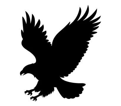 The silhouette of wild eagle vector art Stock Illustration