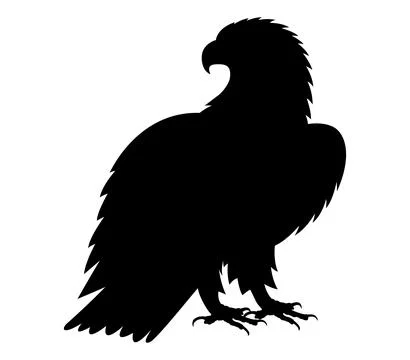 The silhouette of wild eagle vector art Stock Illustration