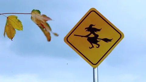 Silhouette of the Witch in a Witch in Hat Flying on the Broom Stock Footage 80341780