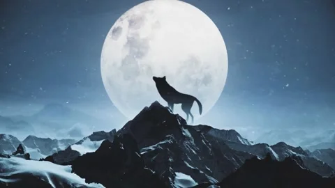 Silhouette of a wolf howling on a snowy mountain peak at full moon Stock Footage 334108170