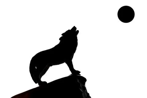 Silhouette of wolf, muzzle raised up to circle of moon on edge of cliff howl Stock Photos