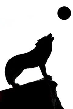Silhouette of wolf with raised up to black circle of moon on edge of cliff Stock Illustration