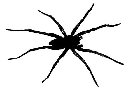 Silhouette of a  wolf spider on a white background Stock Illustration