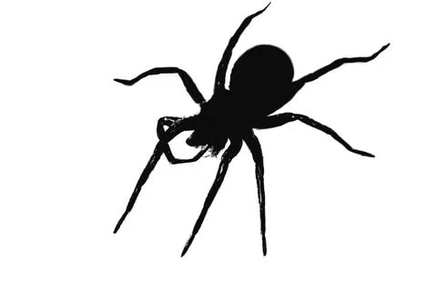 Silhouette of a  wolf spider on a white background Stock Illustration