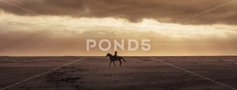Silhouette of a woman riding horse Stock Photos