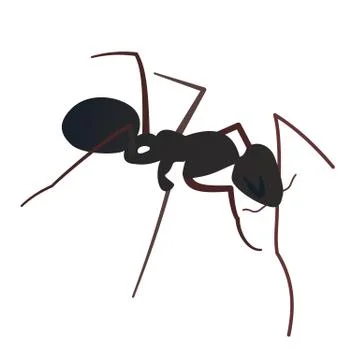 Silhouette of a working ant. Stock Illustration