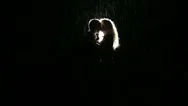 Silhouette Of Young Couple Ardently Kissing In The Dark Under Rainfall Stock Footage