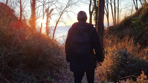 Silhouette of young man with a backpack walking through the forest to the sea at Stock Footage 263434399