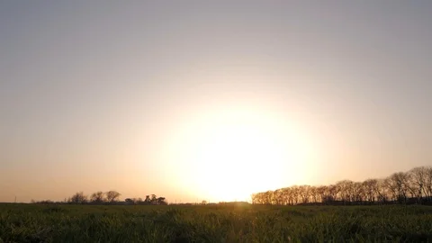 Silhouette of young man in fields Stock Footage 88414077