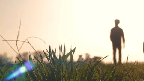 Silhouette of young man in fields Stock Footage 88414096