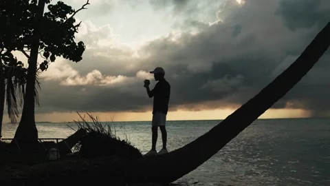 Silhouette of a young man walking on a sandy shore sea under palm trees. Stock Footage 308088805