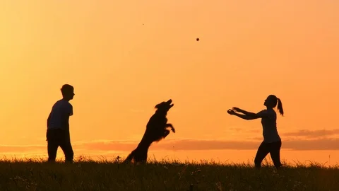 Silhouette Young people play with pet at sunset. Stock Footage 114579353