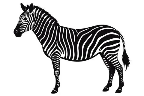 Silhouette-zebra Stock Illustration