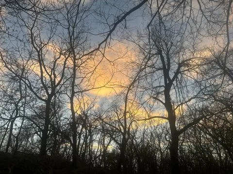 Silhouetted Bare Trees Against Dramatic Sunset Sky Stock Photos