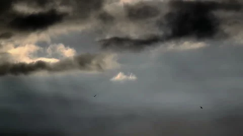 Silhouetted Birds Fly in Rays of Sun - 29,97FPS NTSC Stock Footage 45903771