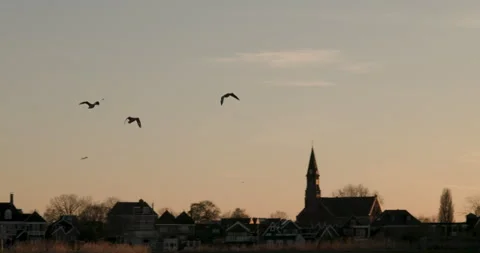 Silhouetted birds glide through the sky above a quiet village at dusk. Stock Footage 304396232