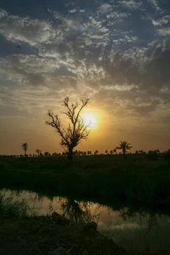 Silhouetted dead tree reflecting in tranquil water under a dramatic sunset sk Stock Photos
