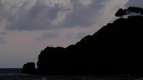 Silhouetted Devil Rock island raven birds flying above in dusky evening night Stock Footage 314422076
