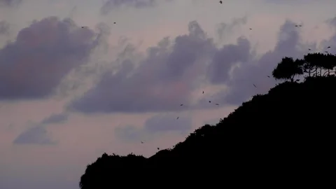 Silhouetted Devil Rock island with raven birds flying above during moody night Stock Footage 314422079