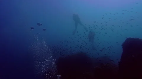 Silhouetted Divers with School of Fish Underwater in Blue Ocean 動画素材 334500770