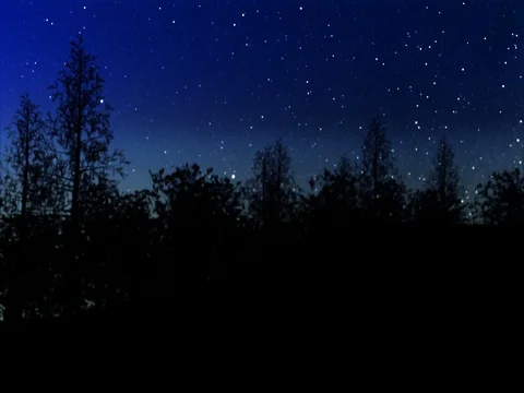 Silhouetted forest against a dark blue evening sky Stock Footage 72015283