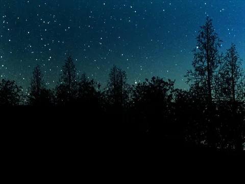 Silhouetted forest against a light blue evening sky Stock Footage 72012340