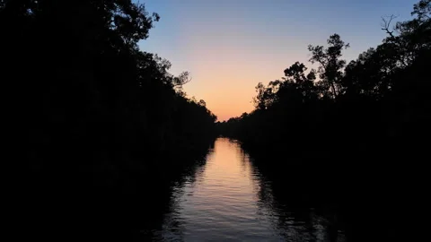 Silhouetted Jungle and Sunset Sky Reflected on River, Tanjung Puting, Indonesia Stock Footage 346431032