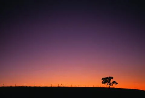 Silhouetted Landscape Stock Photos