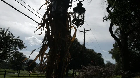 Silhouetted mailbox cornstalk Stock Footage 97096128