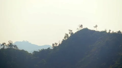 Silhouetted Mountain Ridge with Trees in Soft Haze Stock Footage 329839035