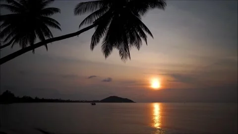 Silhouetted Palm Trees Frame a Serene Tropical Sunset Over Calm Ocean Waters 스톡 동영상 302311561