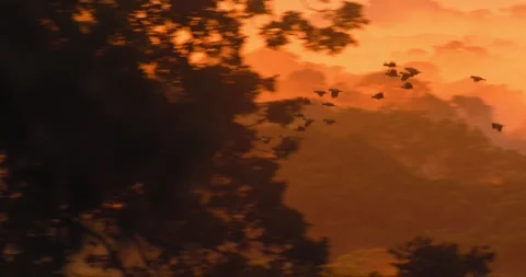 Silhouetted parrot flock sweep across the twilight sky, their dark forms Stock Footage 306046670