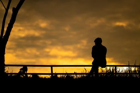 Silhouetted Stock Photos