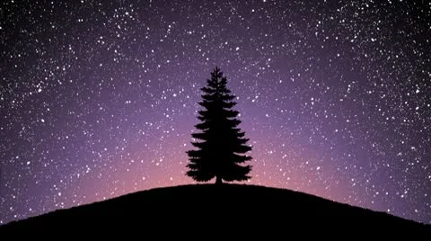 Silhouetted pine tree on top of hill animation Stock Footage 10571371