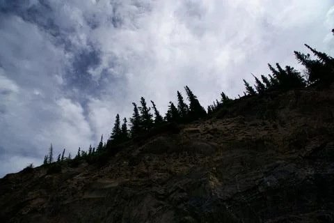 Silhouetted Pine Trees on a Steep Mountain Ridge Against Clouds Stock Photos