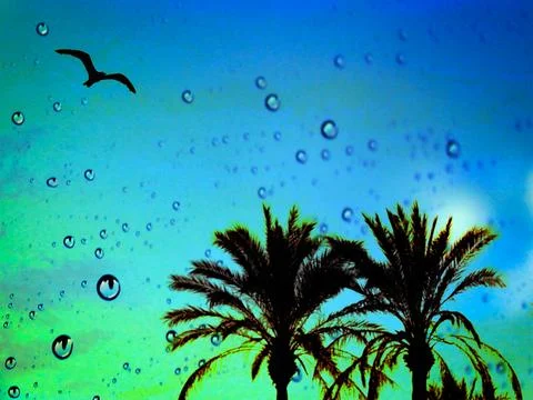 A silhouetted seagull soars over palm trees against a vibrant blue green sky イラスト素材