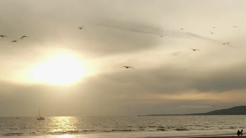 Silhouetted seagulls fly against setting sun and the gorgeous Pacific Ocean Stock Footage 133970161