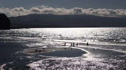 Silhouetted Surfers on Sand Patch at Low Tide. Ribeira Grande,Sao Miguel,Azores Stock Footage 239866564