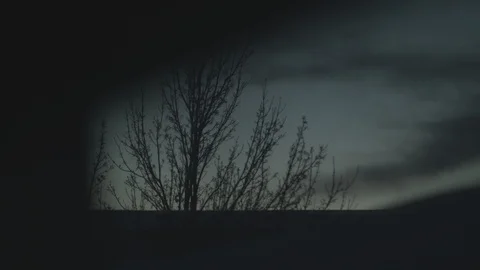 Silhouetted Timelapse of Bare Tree Stock Footage 95951526