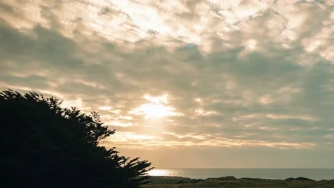 Silhouetted Tree Cloudy Ocean Sunset Timelapse Stock-Footage 201030274