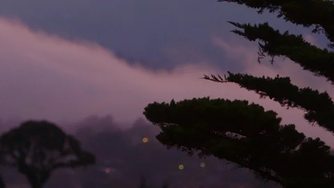 Silhouetted tree foregrounds flickering lights in Sausalito as fog settles Vídeos de archivo 94085209
