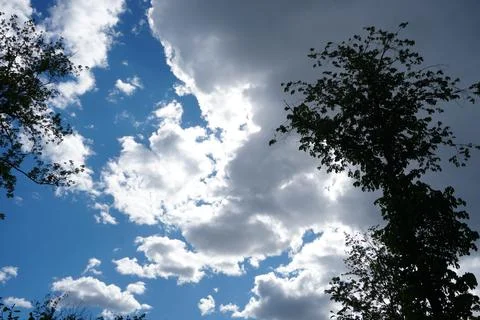 Silhouetted trees against a dramatic sky 스톡 사진