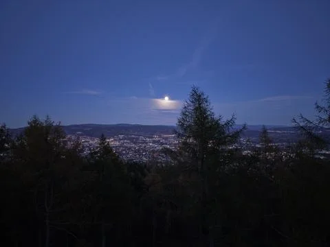 Silhouetted trees frame glowing moon, serene nighttime shot of city skyline Stock Photos