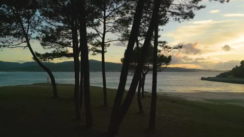 Silhouetted Trees At The Seacoast Of Corme During Sunrise. Wide Shot Stock Footage 254946591