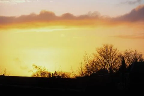 Silhouetted Trees at Sunset Stock Photos