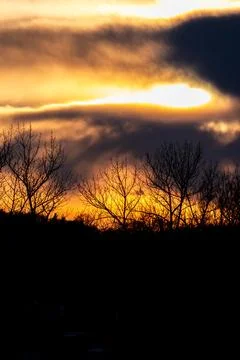 Silhouetted trees at sunset under dramatic clouds 库存照片