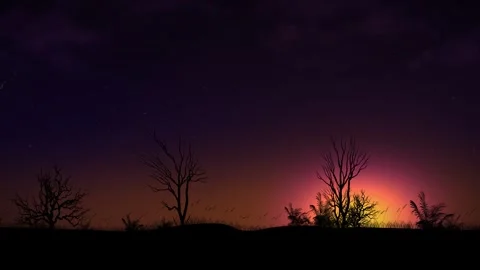Silhouetted Trees at Twilight with Starry Sky Stock-Footage 327194479