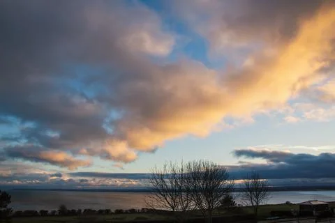 Silhouetted winter trees on an esplanade in front of a bay of water Stock Photos